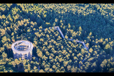 Promenade dans les arbres Alsace / Chemin des Cimes Alsace à Cleebourg dans le département Bas Rhin, France