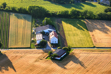 Ferme de Kehler Hof à le quartier Ingenheim in Billigheim-Ingenheim dans le département Rhénanie-Palatinat, Allemagne