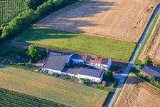 Ferme de Kehler Hof à le quartier Ingenheim in Billigheim-Ingenheim dans le département Rhénanie-Palatinat, Allemagne