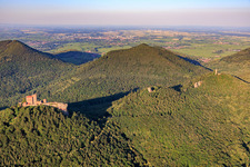 Trois châteaux : Trifels, Anebos, Jungturm Münz et la tour rénovée Scharfenberg à le quartier Bindersbach in Annweiler am Trifels dans le département Rhénanie-Palatinat, Allemagne