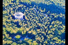 Promenade dans les arbres Alsace / Chemin des Cimes Alsace à Cleebourg dans le département Bas Rhin, France