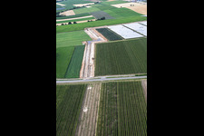 Travaux de terrassement pour le tracé entre le premier site de forage sur le Schleidberg et le deuxième site de forage sur le Trappelberg du projet Lionheart de Vulcan Energy, destiné à assurer l'approvisionnement futur en chaleur neutre en carbone de la ville de Landau, ainsi qu'à l'extraction de lithium et à la production d'électricité via une centrale ORC. à Insheim dans le département Rhénanie-Palatinat, Allemagne