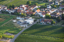 Caviste Weingut Sauer à Nußdorf à le quartier Nußdorf in Landau in der Pfalz dans le département Rhénanie-Palatinat, Allemagne