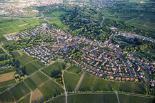 Ville viticole du nord-ouest à le quartier Godramstein in Landau in der Pfalz dans le département Rhénanie-Palatinat, Allemagne