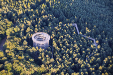 Promenade dans les arbres Alsace / Chemin des Cimes Alsace à Cleebourg dans le département Bas Rhin, France