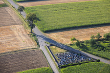 Cimetière de Hermerswiller à Hoffen dans le département Bas Rhin, France