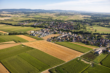 Quartier de Leiterswiller vu du sud à Hoffen dans le département Bas Rhin, France