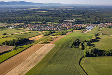 Du nord à Niederrœdern dans le département Bas Rhin, France