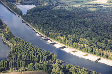 Banquets et épis à marée basse sur le Rhin entre Hördter Rheinaue et Dettenheim à Hördt dans le département Rhénanie-Palatinat, Allemagne