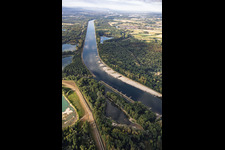 Banquets et épis à marée basse sur le Rhin entre Hördter Rheinaue et Rott Island à Hördt dans le département Rhénanie-Palatinat, Allemagne