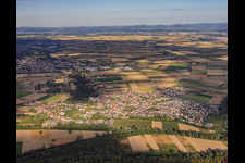 De l'est à Hördt dans le département Rhénanie-Palatinat, Allemagne