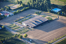 Domaine viticole Bergdolt-Reif & Nett à le quartier Duttweiler in Neustadt an der Weinstraße dans le département Rhénanie-Palatinat, Allemagne