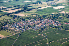 Du nord-est à Venningen dans le département Rhénanie-Palatinat, Allemagne