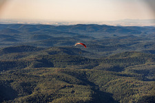Parapente au-dessus de la forêt du Palatinat à le quartier Glashütte in Lemberg dans le département Rhénanie-Palatinat, Allemagne