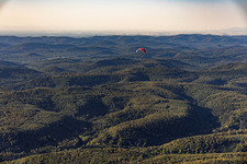 Parapente au-dessus de la forêt du Palatinat à le quartier Glashütte in Lemberg dans le département Rhénanie-Palatinat, Allemagne