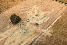Troupeau de moutons de la ferme Rimmlinger paissant dans des prairies complètement desséchées à Achen dans le département Moselle, France