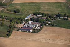 Ferme Roth (Agriculture) à le quartier Radheim in Schaafheim dans le département Hesse, Allemagne
