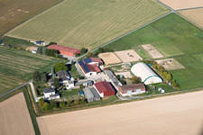 Ferme Lothar Krapp (Agriculture) à le quartier Langstadt in Babenhausen dans le département Hesse, Allemagne