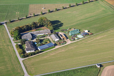Mois Ferme (Agriculture) à le quartier Langstadt in Babenhausen dans le département Hesse, Allemagne