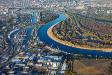 Étiage du Rhin autour de l'île Reißinsel, face au port Kaiserwörthhafen à le quartier Niederfeld in Mannheim dans le département Bade-Wurtemberg, Allemagne