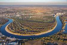 Étiage du Rhin aux abords de la réserve naturelle de Reißinsel / Kuckucksinsel à le quartier Niederfeld in Mannheim dans le département Bade-Wurtemberg, Allemagne