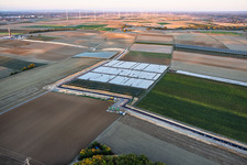 Travaux de génie civil pour la liaison entre le premier site de forage (au Schleidberg) et le second (au Trappelberg), dans le cadre du projet « Lionheart » de Vulcan Energy (chaleur climatiquement neutre pour Landau, extraction de lithium et production d'électricité par installation ORC) à Insheim dans le département Rhénanie-Palatinat, Allemagne