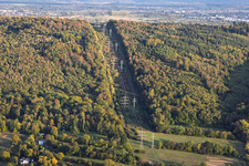 Percée forestière pour une ligne à haute tension, le long du sentier des pylônes électriques à Ettlingen dans le département Bade-Wurtemberg, Allemagne