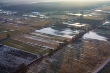 Vue aérienne de Biotope d'Otterbachtal gelé à Minfeld dans le département Rhénanie-Palatinat, Allemagne