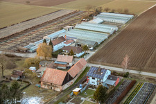 Vue oblique de Nursery à Vollmersweiler dans le département Rhénanie-Palatinat, Allemagne