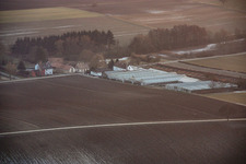 Nursery à Vollmersweiler dans le département Rhénanie-Palatinat, Allemagne d'en haut