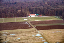 Vue aérienne de Terrains de sport TSV 1908 Freckenfeld à Freckenfeld dans le département Rhénanie-Palatinat, Allemagne