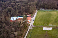 Photographie aérienne de Terrains de sport TSV 1908 Freckenfeld à Freckenfeld dans le département Rhénanie-Palatinat, Allemagne