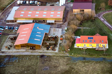 Vue aérienne de Haras islandais Bienwald à Freckenfeld dans le département Rhénanie-Palatinat, Allemagne