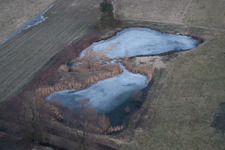 Vue aérienne de Piscines couvertes de neige en hiver et surface d'eau de marécage dans un paysage d'étang à Minfeld dans le département Rhénanie-Palatinat, Allemagne