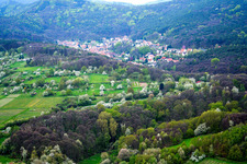 Vue aérienne de Champs agricoles et surfaces utilisables à Dörrenbach dans le département Rhénanie-Palatinat, Allemagne