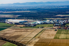 Photographie aérienne de Zone de tissu Horst à le quartier Minderslachen in Kandel dans le département Rhénanie-Palatinat, Allemagne