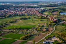 Vue aérienne de Du sud à Jockgrim dans le département Rhénanie-Palatinat, Allemagne