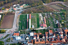 Vue aérienne de Station d'épuration et dépôt d'entretien des autoroutes à Kandel dans le département Rhénanie-Palatinat, Allemagne