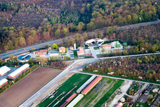 Photographie aérienne de Usine de traitement des eaux usées à Kandel dans le département Rhénanie-Palatinat, Allemagne