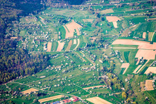 Vue aérienne de Fleur d'arbre fruitier à le quartier Schwann in Straubenhardt dans le département Bade-Wurtemberg, Allemagne