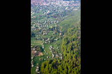 Vue aérienne de Plantation de fruits à pépins en fleurs dans le district d'Oberweier à le quartier Ettlingenweier in Ettlingen dans le département Bade-Wurtemberg, Allemagne