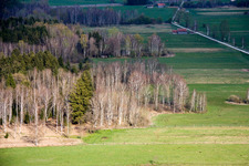 Vue aérienne de Les bouleaux au printemps à Raisting dans le département Bavière, Allemagne