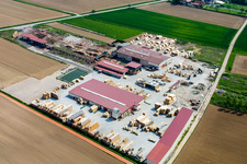 Vue aérienne de Site de la scierie et de l'usine de palettisation KOCHER à Niederrœdern dans le département Bas Rhin, France