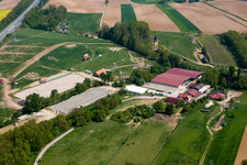 Haras de la Née à Neewiller-près-Lauterbourg dans le département Bas Rhin, France d'en haut
