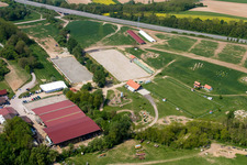 Haras de la Née à Neewiller-près-Lauterbourg dans le département Bas Rhin, France depuis l'avion