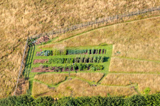 Vue aérienne de Culture maraîchère à Two Mile Oak à le quartier Two Mile Oak Cross in Newton Abbot dans le département Angleterre, Vereinigtes Königreich