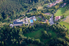 Vue aérienne de Altleiningen dans le département Rhénanie-Palatinat, Allemagne