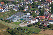 Vue aérienne de Toits en verre dans les rangées de serres pour la culture de fleurs au 1A Gartet Hopp à le quartier Bodersweier in Kehl dans le département Bade-Wurtemberg, Allemagne