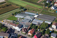 Vue aérienne de Toits en verre dans les rangées de serres pour la culture de fleurs au 1A Gartet Hopp à le quartier Bodersweier in Kehl dans le département Bade-Wurtemberg, Allemagne