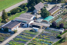 Vue aérienne de Garden Times Black à le quartier Bodersweier in Kehl dans le département Bade-Wurtemberg, Allemagne